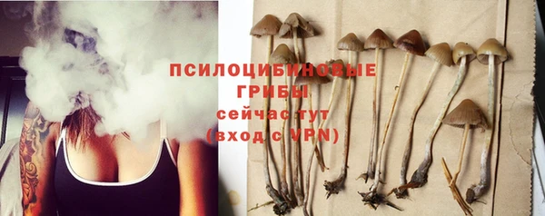 эйфоретик Алзамай