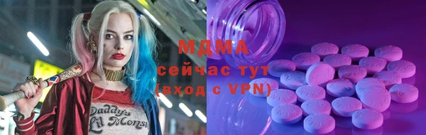 ешки Алексин