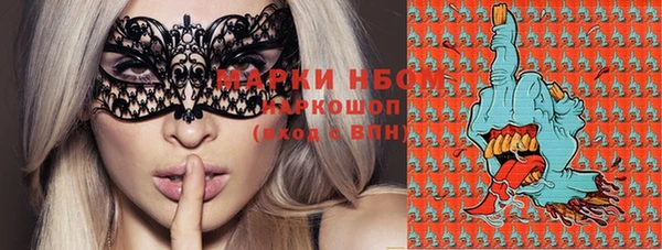 ешки Инта