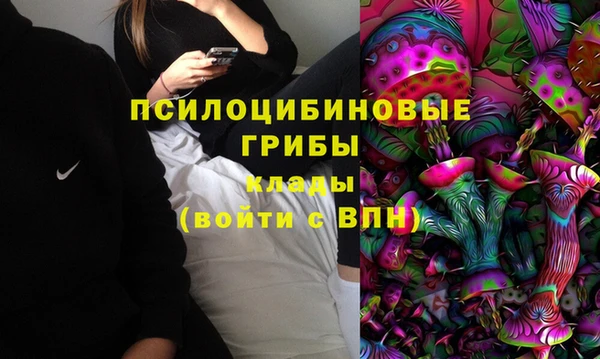 ешки Алексин