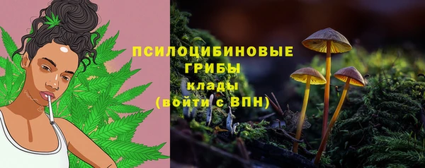 эйфоретик Алзамай